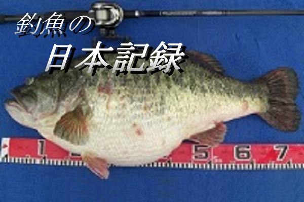 釣魚の日本記録 写真7